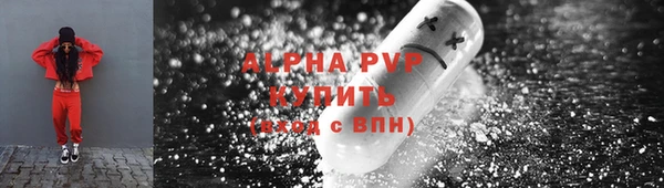 PSILOCYBIN Козельск