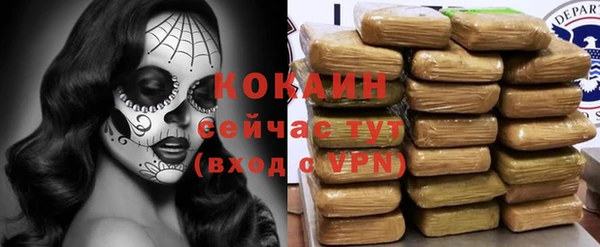 PSILOCYBIN Козельск