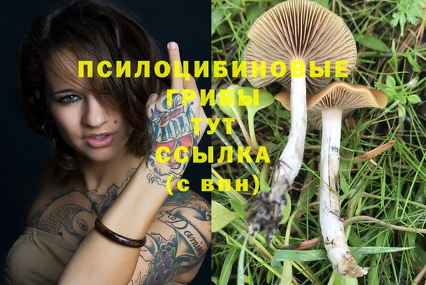 винт Кодинск