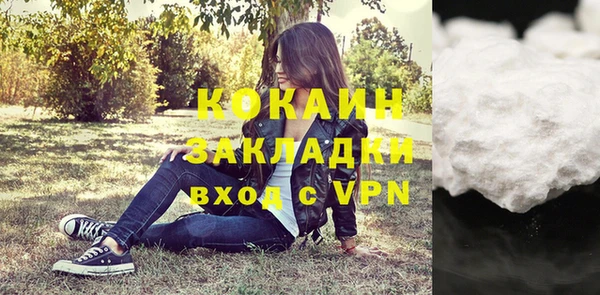 шишки Фёдоровский